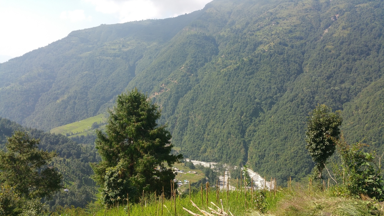 Endlich kommt Timbu, das Ziel im Tal, in Sicht. Ab dort fährt dann der öffentliche Bus nach Kathmandu.
