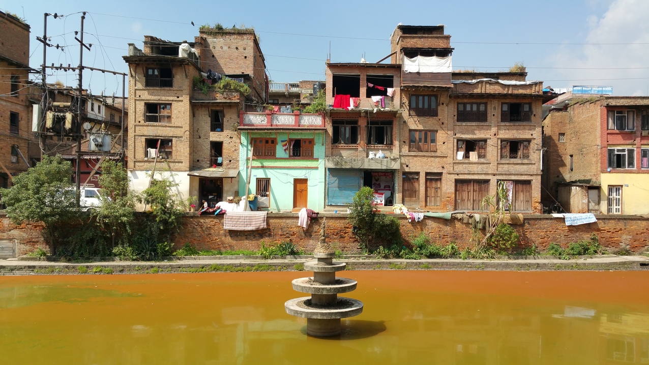 Wahrscheinlich haben hier Algen gute Bedingungen und eine Kolonie gegründet. Oder es kommt vom Wäschefärber Handwerk.
