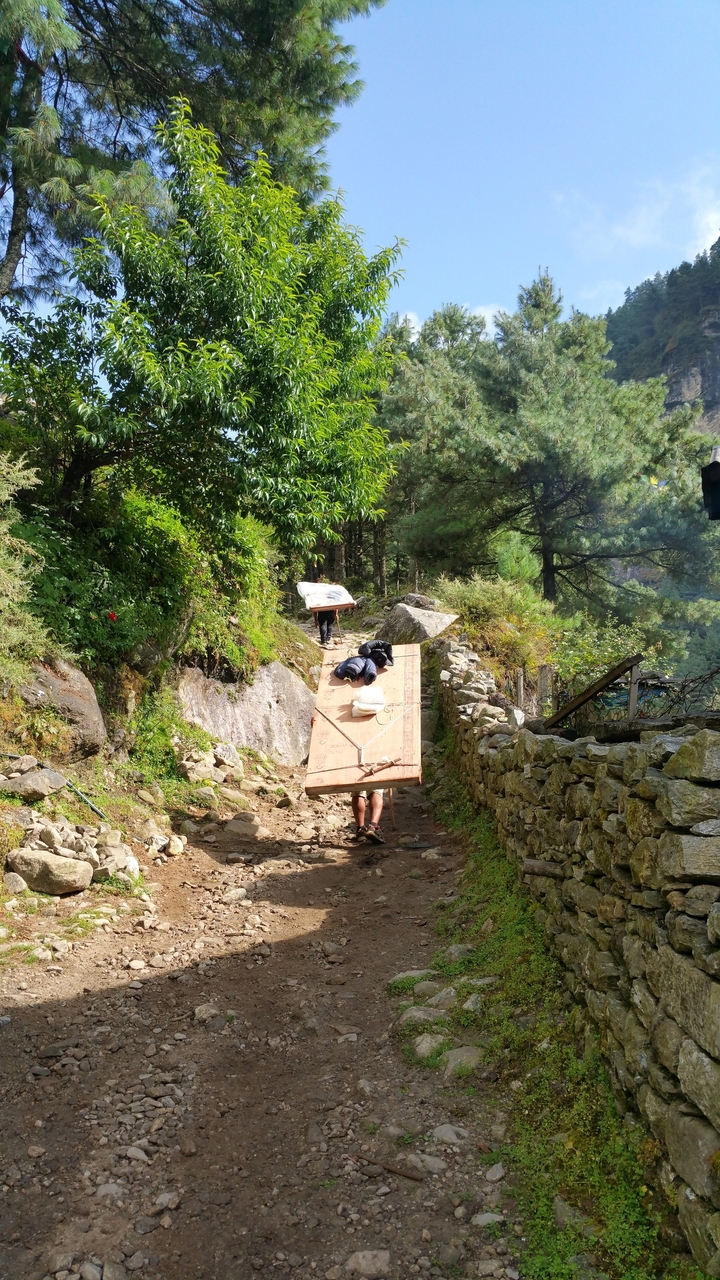 Auf einmal bewegt sich die Tür und läuft los.
