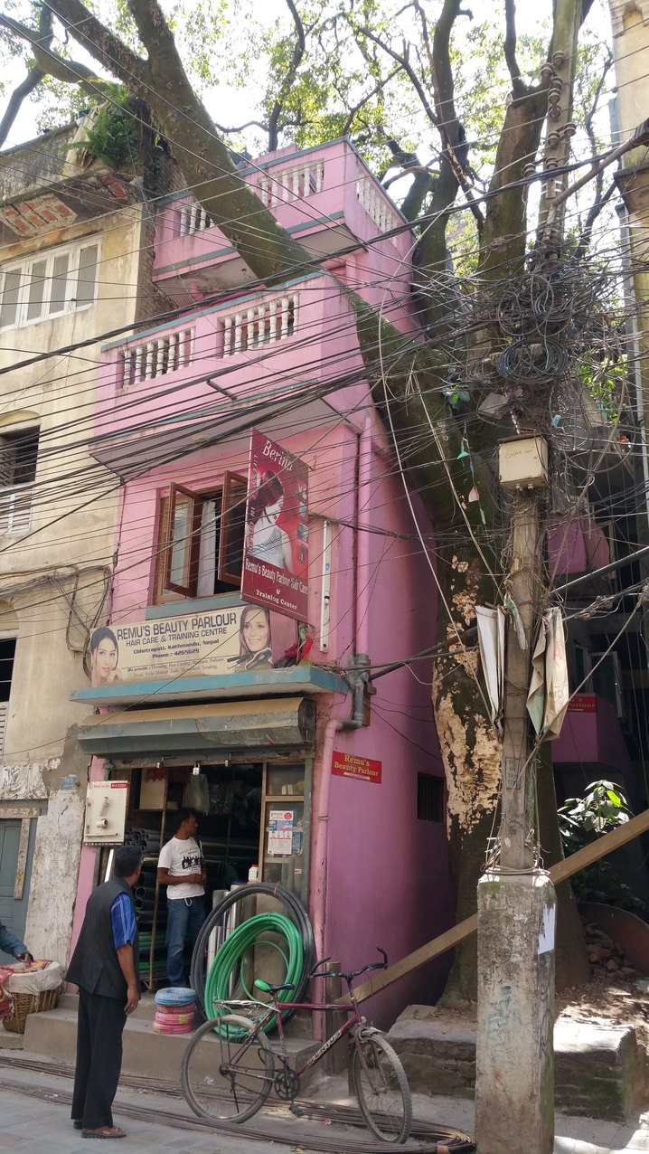 Gelungene Integration von Haus, Baum und Stromversorgung.
