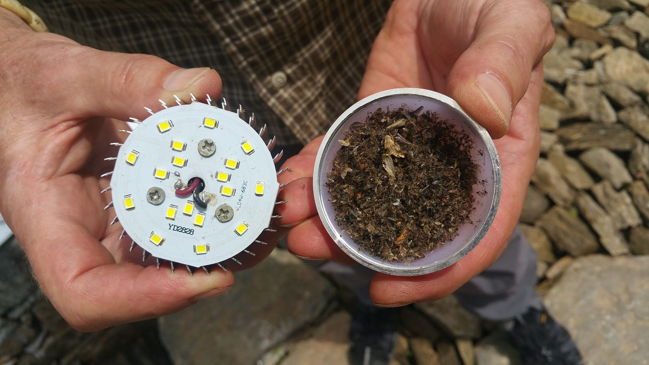 Manche sin so voll, dass nach außen kaum noch Licht durch kam, gerade so, dass man im Dunkeln erkennen konnte, dass die Lampe oder Schalter nicht defekt sind oder mal wieder Stromausfall ist.
