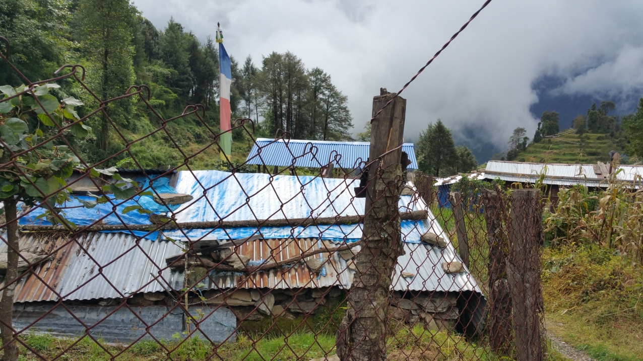 Die Hauptzuleitung zum Haus. Der Zaun wird irgendwann zum "Sicherheitszaun".
