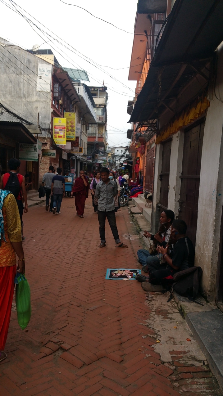 Wegen der vielen Touristen hier in der Gegend, sieht man viele Straßenmusikannten, Bettler, buddhistische Mönche und hinduistische Sadhus.
