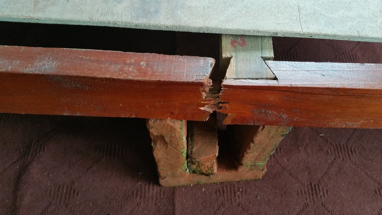 ...zumindest erstmal.
